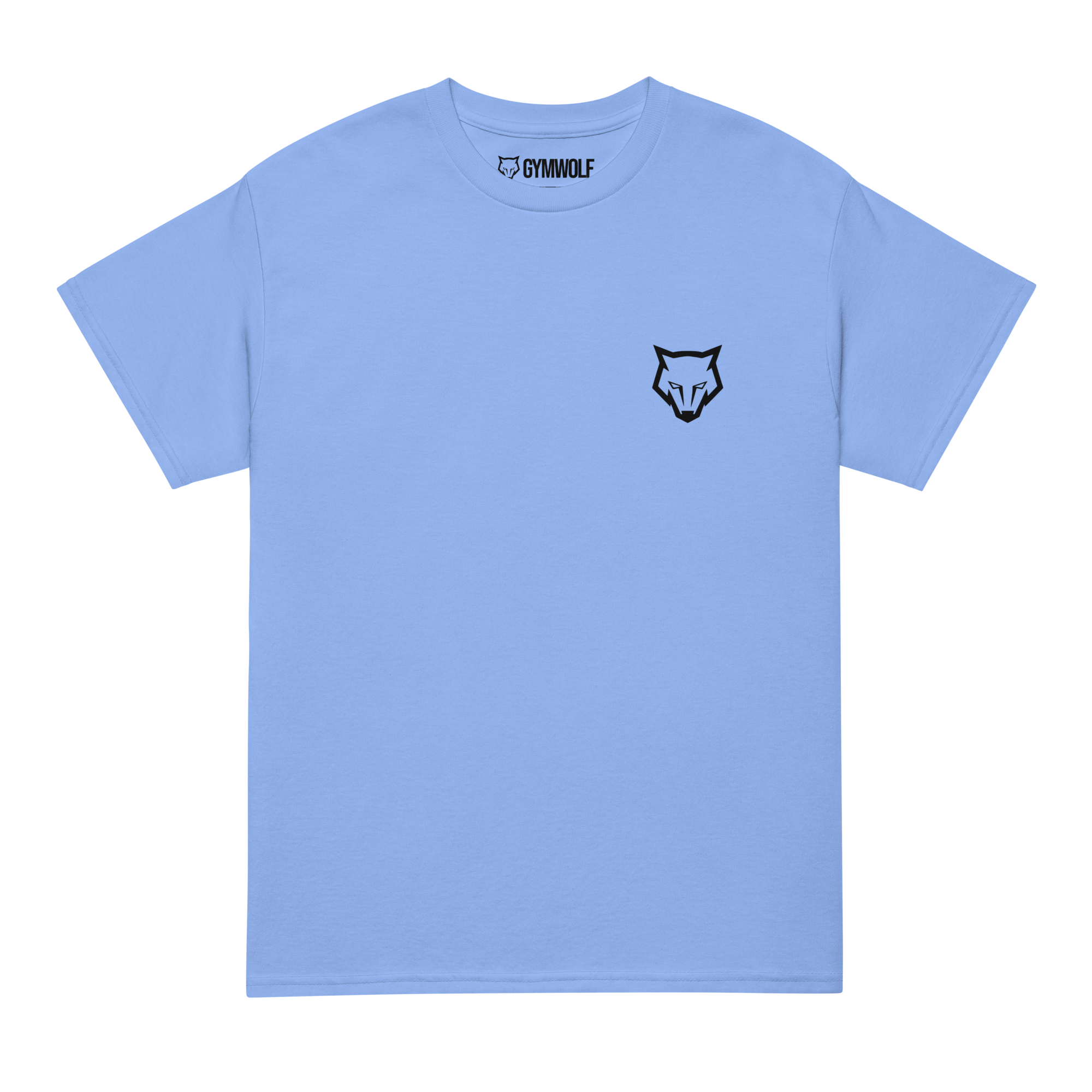 Unisex DryBlend Tee - Carolina Blue