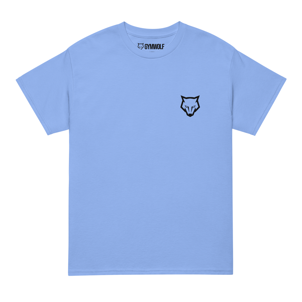 Unisex DryBlend Tee - Carolina Blue
