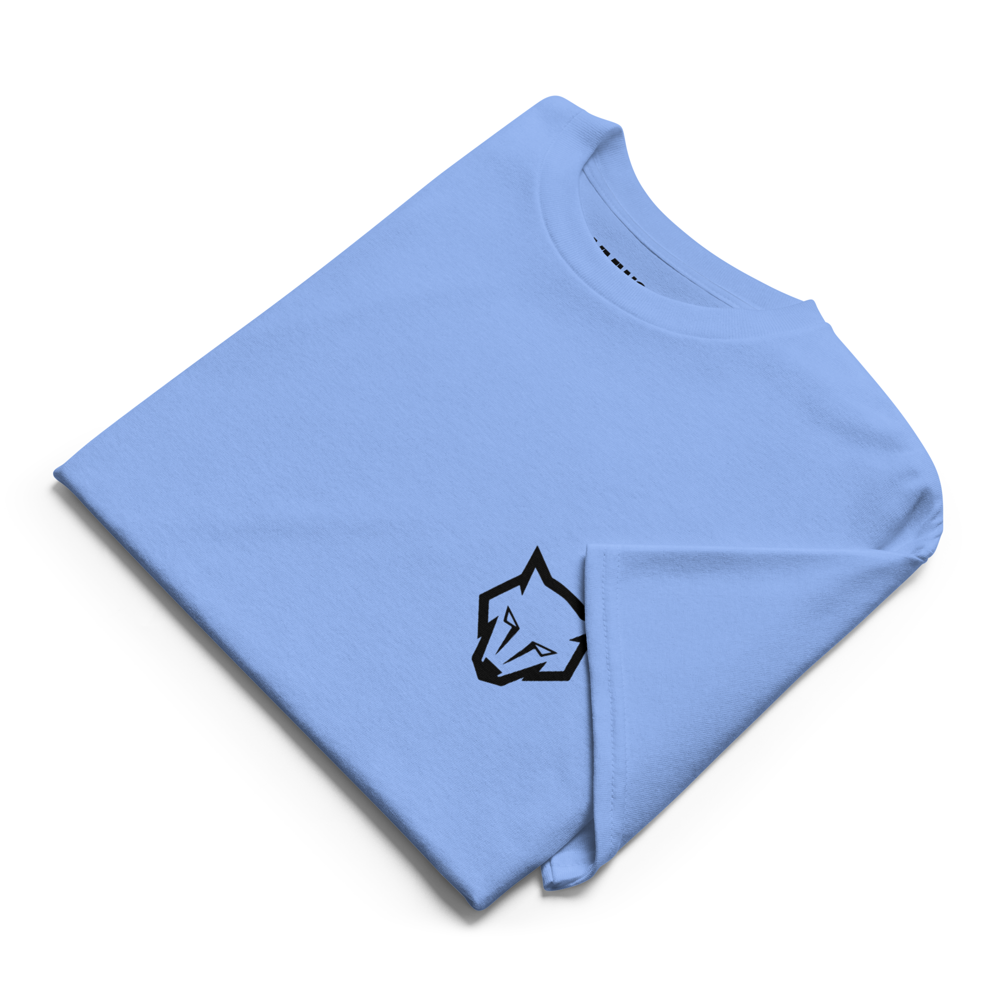Unisex DryBlend Tee - Carolina Blue