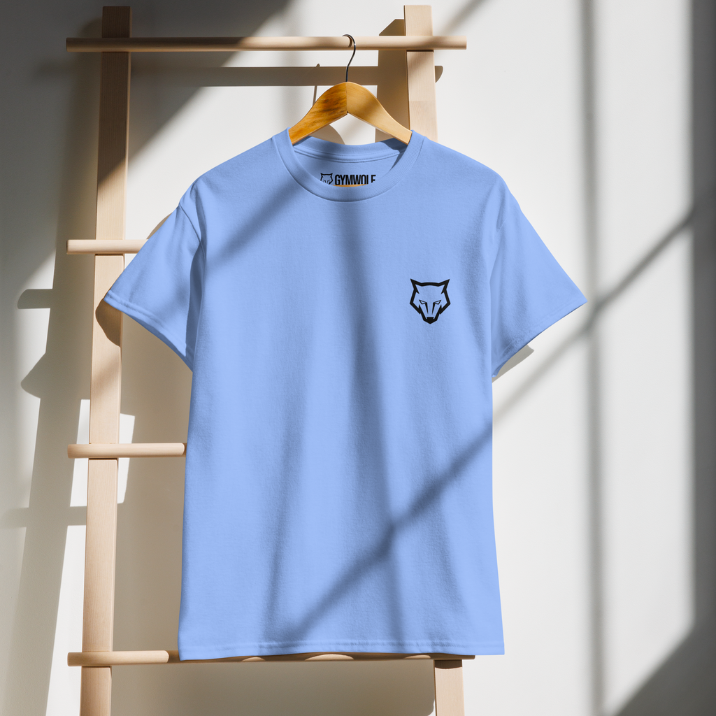 Unisex DryBlend Tee - Carolina Blue