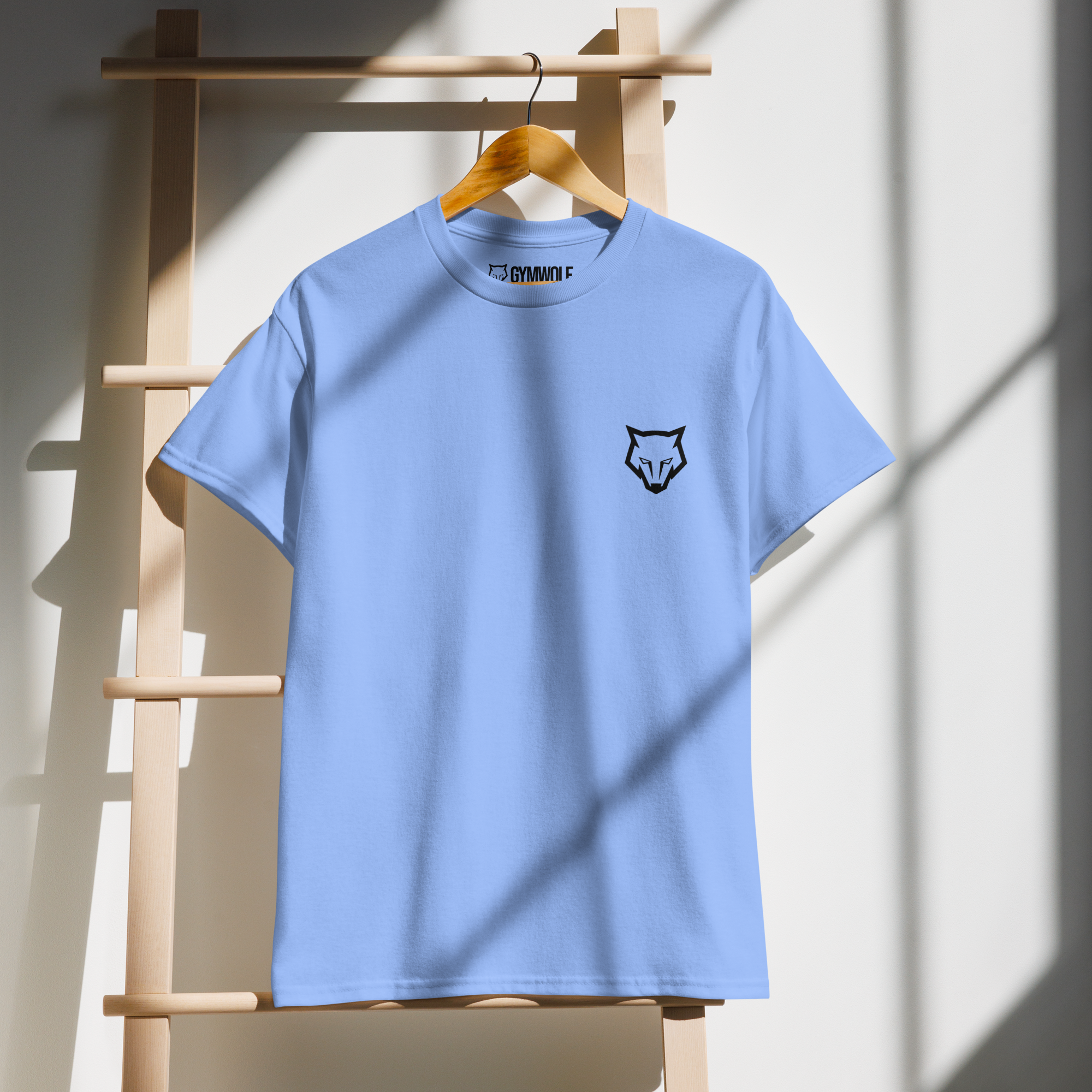 Unisex DryBlend Tee - Carolina Blue